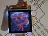 nokia_6100_display.htm